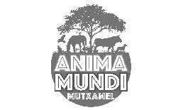 Anima Mundi