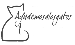 Ayudemos a los Gatos