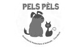 Pels Pels Crevillente