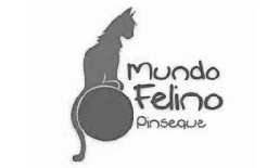 Mundo Felino Pinseque